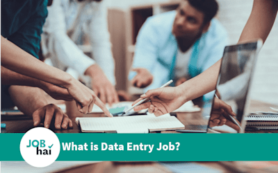 What is Data Entry Job? Salary and Career