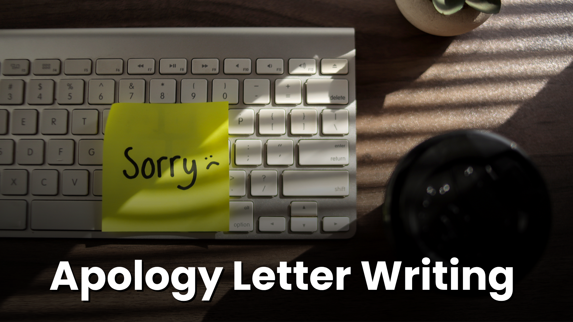 Apology Letter Writing Tips & Samples 